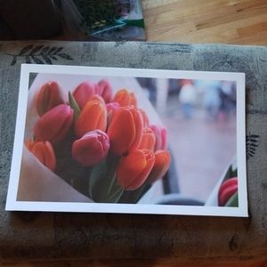 17x26 photograph of Tulips!